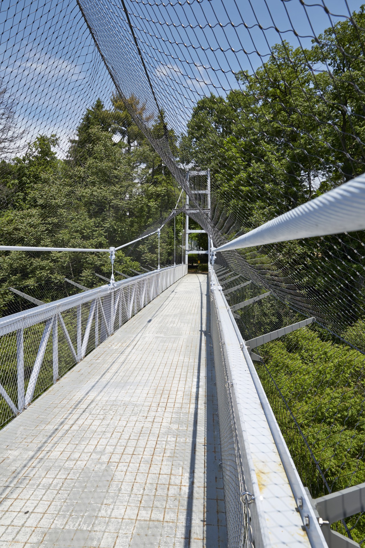 high bridge with safety net